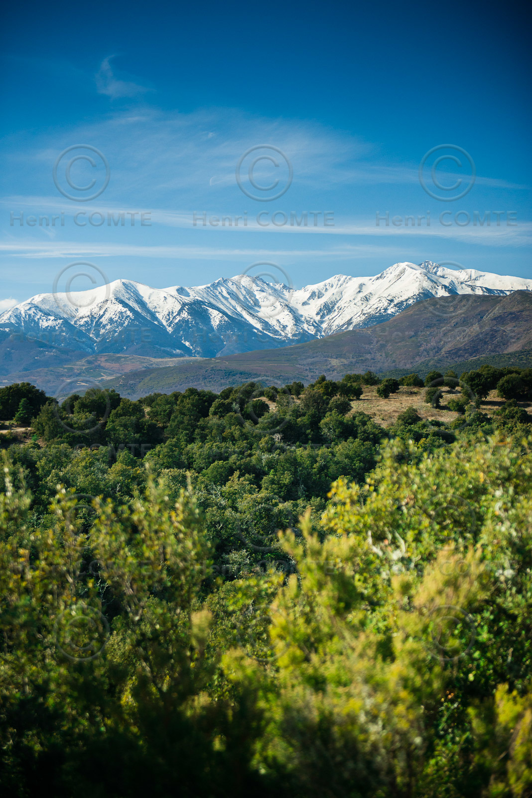 Le Canigou