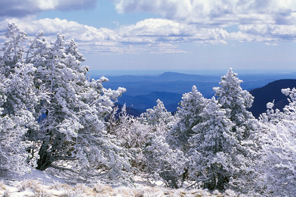 Mont Aigoual