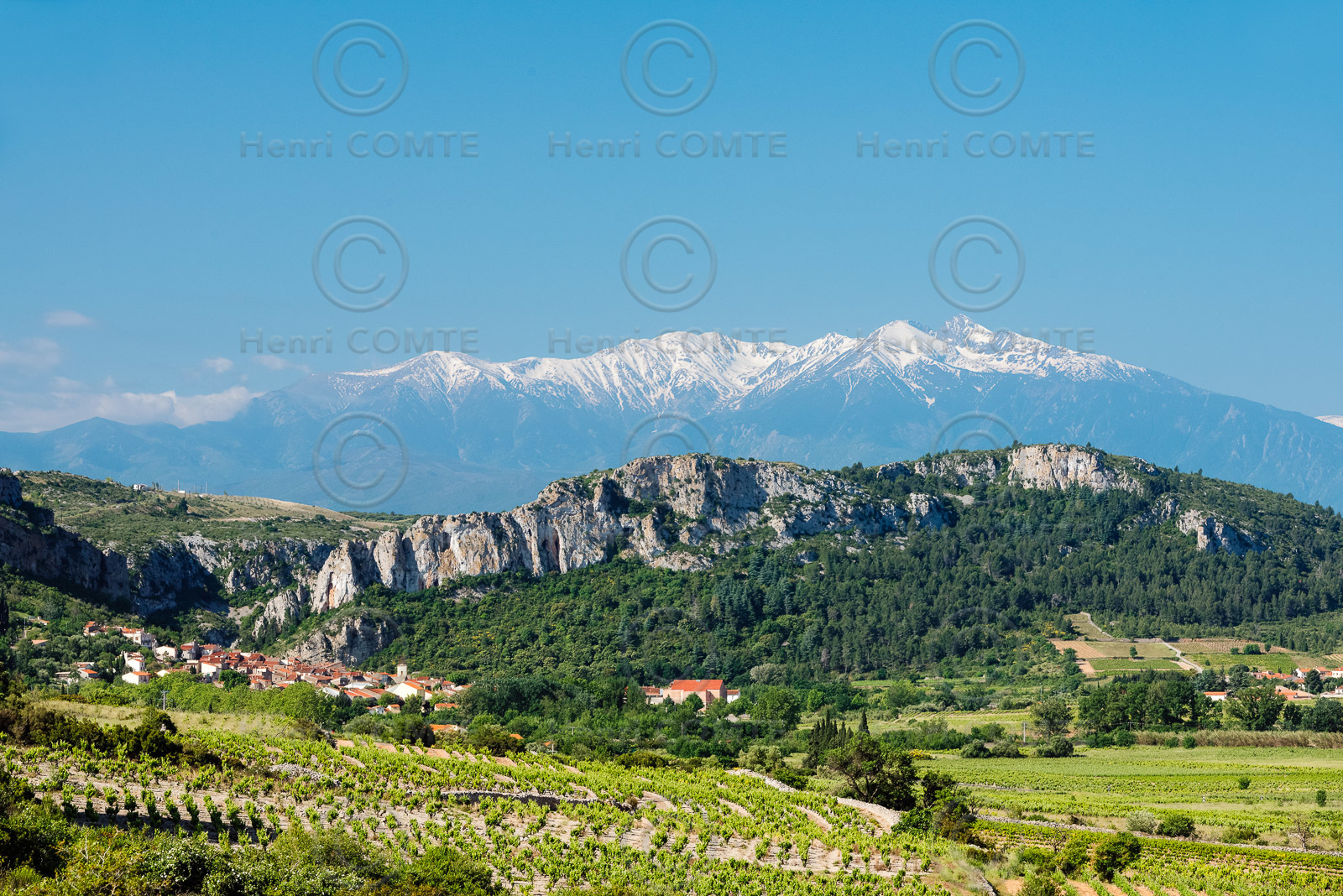 Vignoble du Roussillon