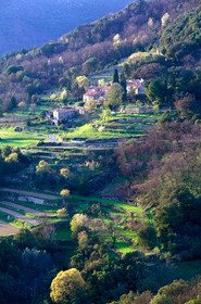 Cévennes