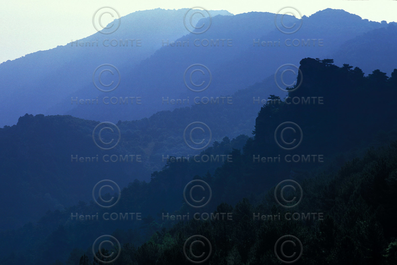 Vallée de la Buèges