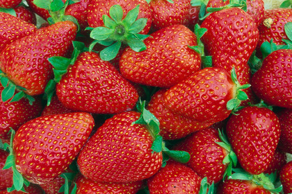 Fraises