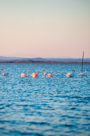 Etang de Bages