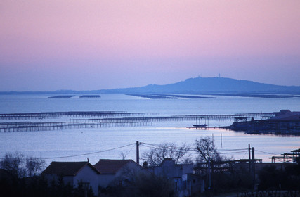 Etang de Thau
