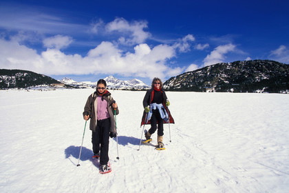 Sport d'hiver