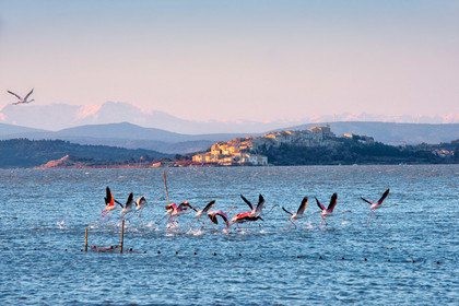 Etang de Bages