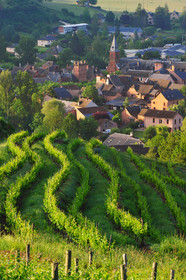Vignoble de Marcillac