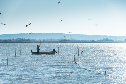 Etang de Bages
