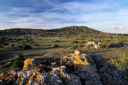 Larzac