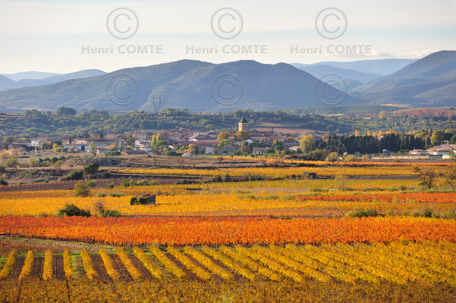 Vignoble de Faugeres