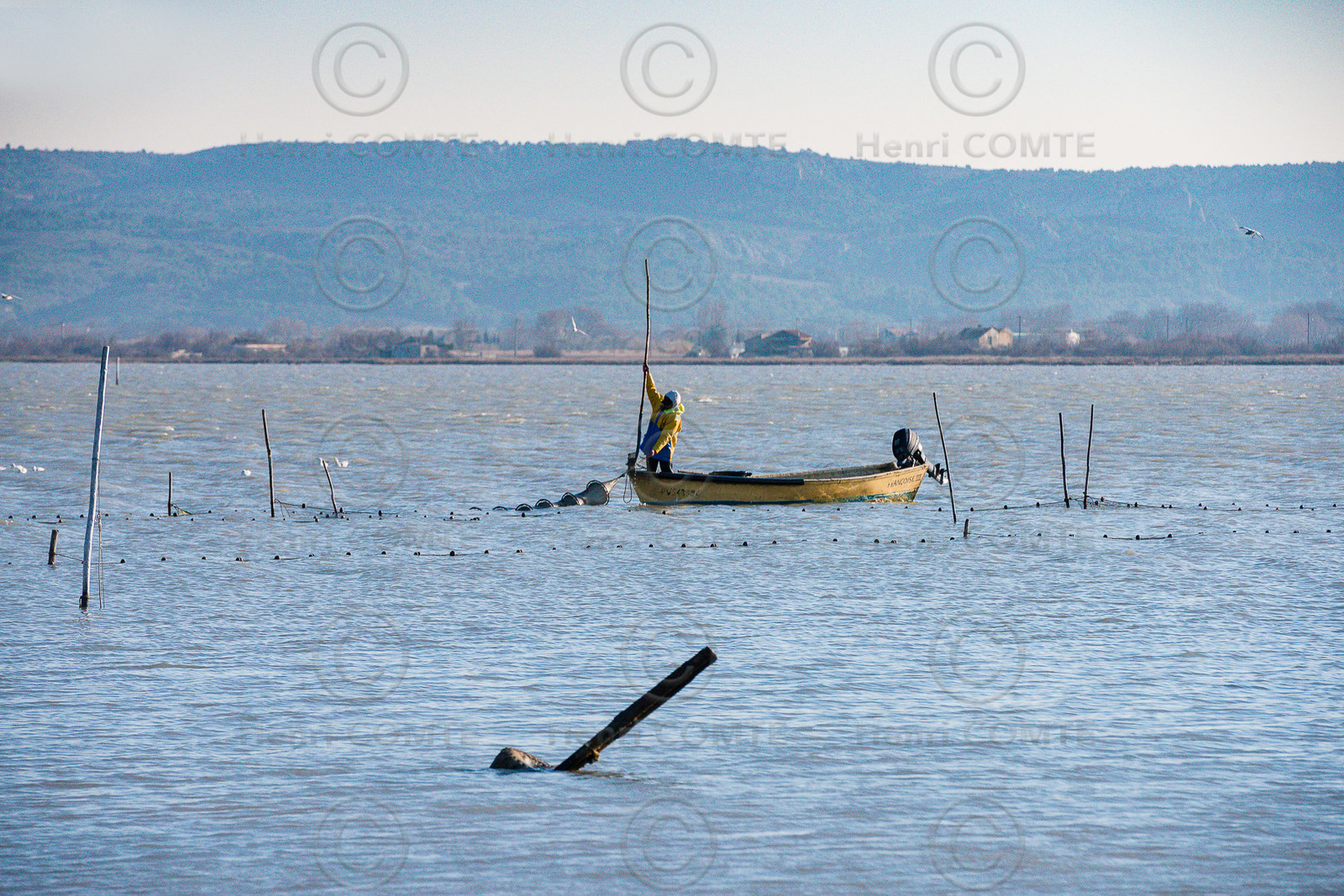 Etang de Bages