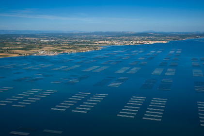 Etang de Thau