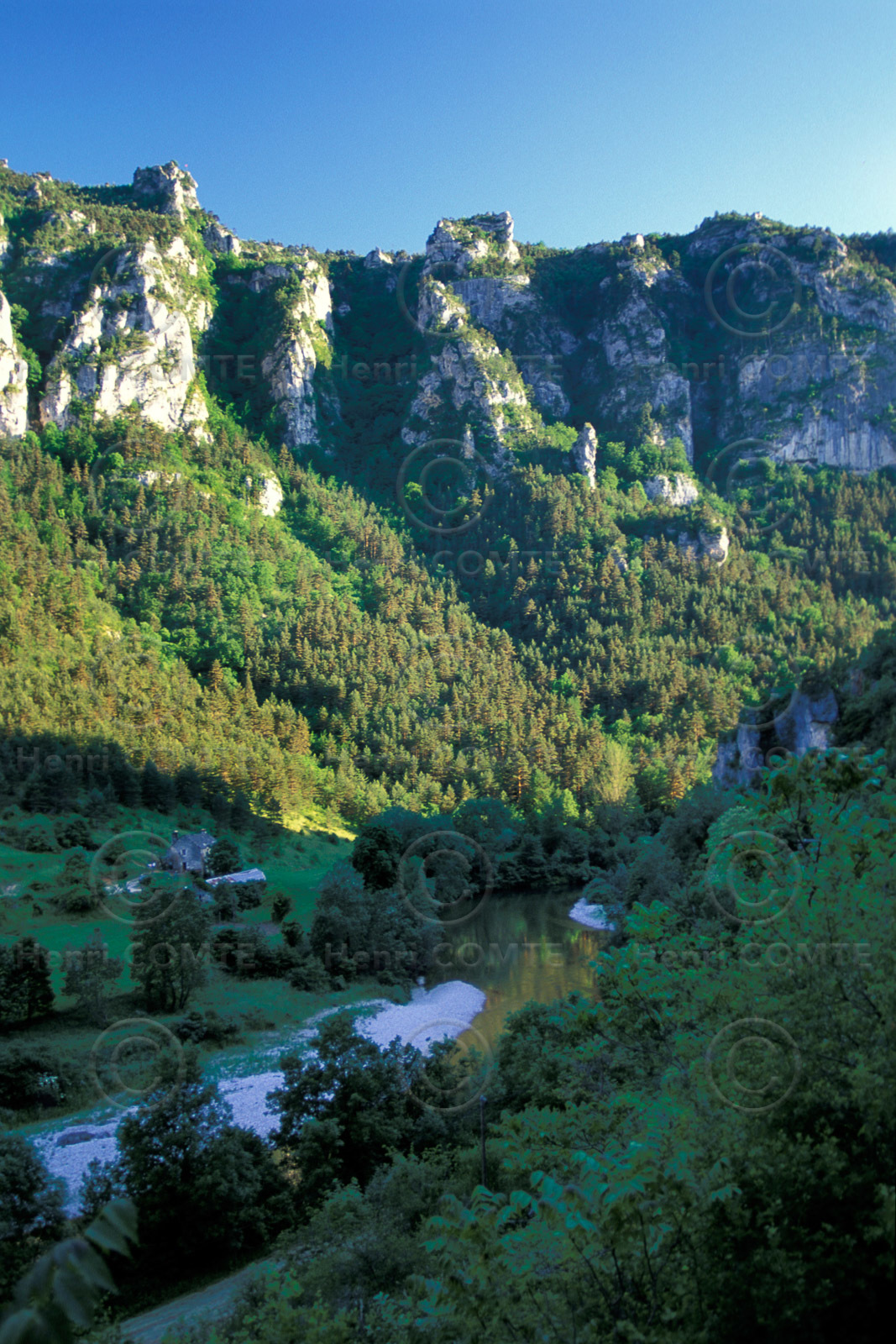 Gorges du Tarn