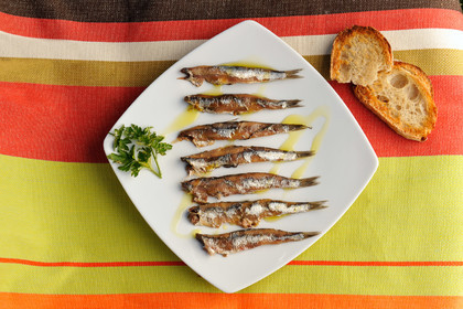 Anchois