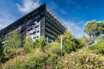 Montpellier