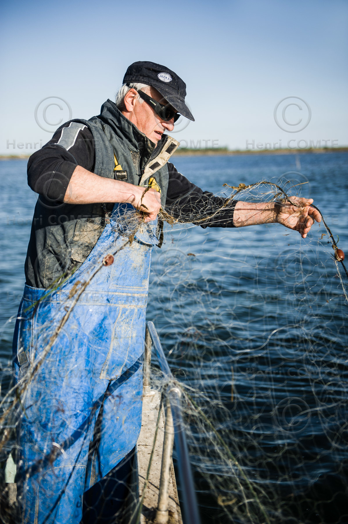 Pêche étang de thau