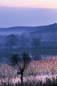 Plaine de l'Hérault