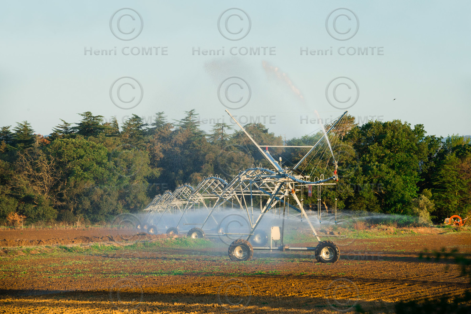 Irrigation