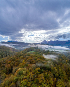 Foret en ariège