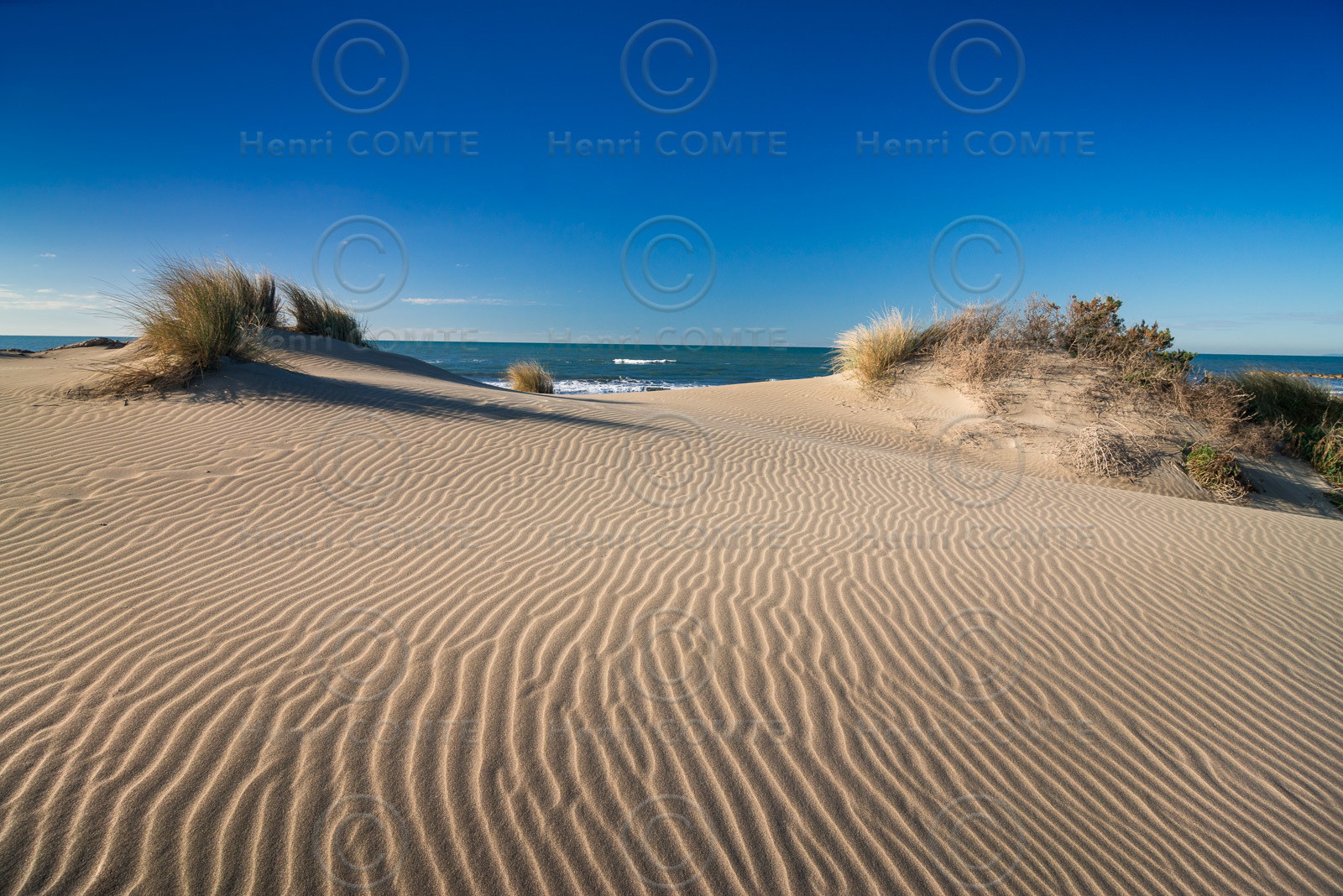 Plage de l'Espiguette