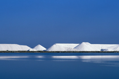 Salins