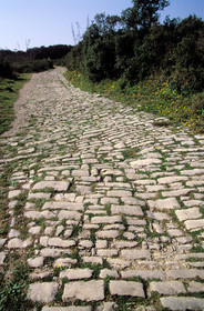 Via Domitia