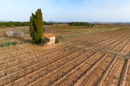 Vignoble Pinet