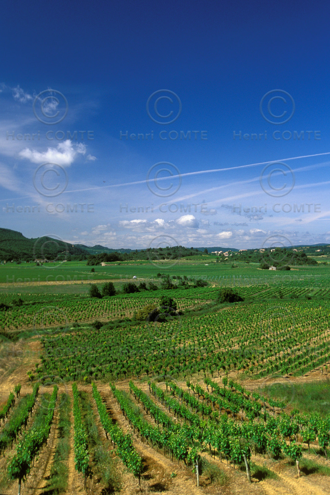 Vignoble Saint Chinian