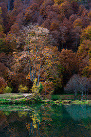 Lac de Betmale