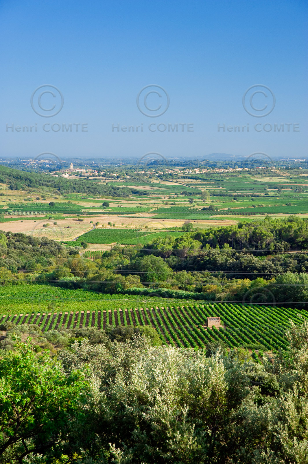 Vignoble Saint Chinian