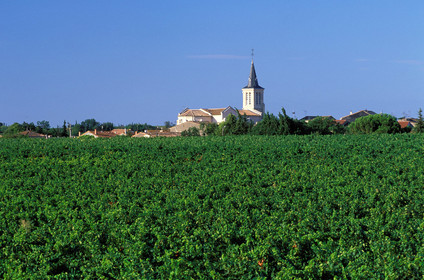 Vignoble de Pinet