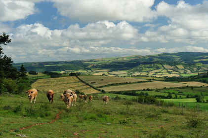 Causse de Séverac
