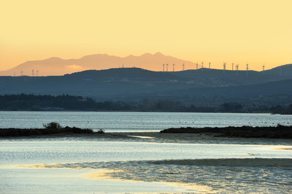 Etang de La Palme